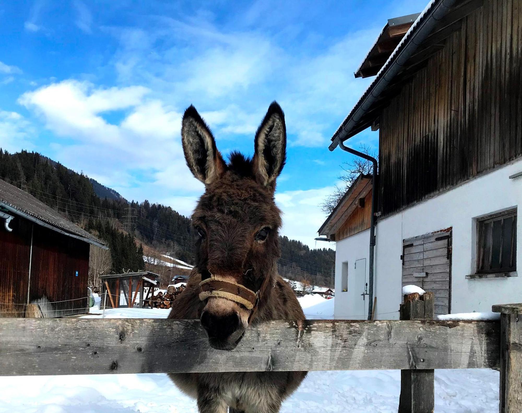 Hinkerhof Konuk evi Schladming Dış mekan fotoğraf